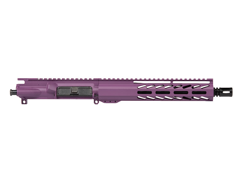 10-10-purple-mlok-house-800-600